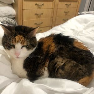 Meet your Posher, Barb